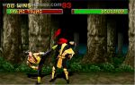 Mortal_Kombat_II_-_1993_-_Midway_Games.jpg